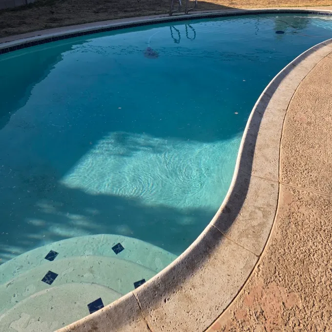 Customer photo attached to the review: a clear backyard pool in evening light